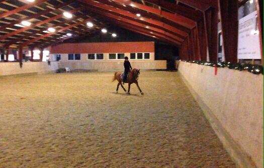 Avador på Ågerupgård Sportsrideklub (AAGS) billede 8