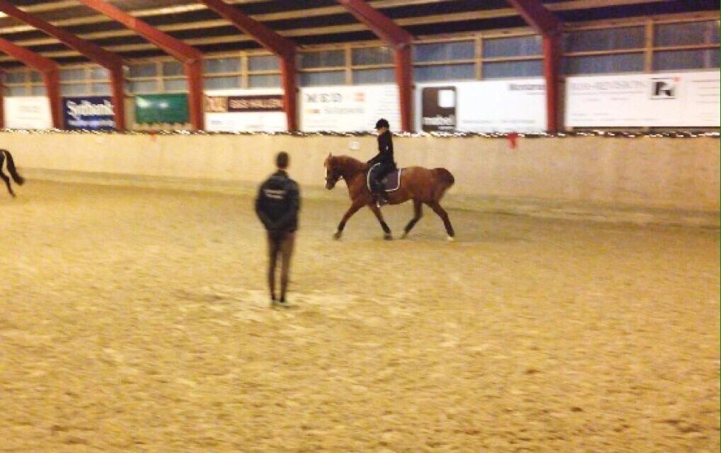 Avador på Ågerupgård Sportsrideklub (AAGS) billede 9