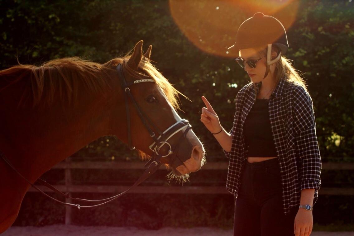 Avador på Ågerupgård Sportsrideklub (AAGS) billede 12