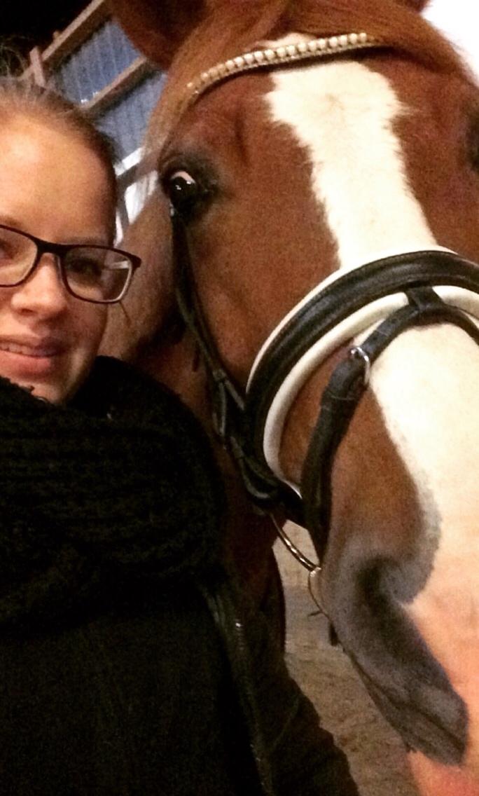 Avador på Ågerupgård Sportsrideklub (AAGS) billede 19