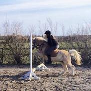 Pony hygge <3