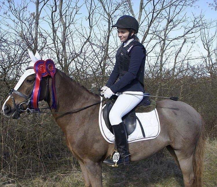 Hverdag på stald vestervang. billede 3