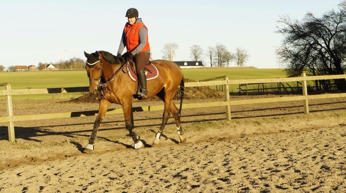 Hverdag på stald vestervang. billede 5