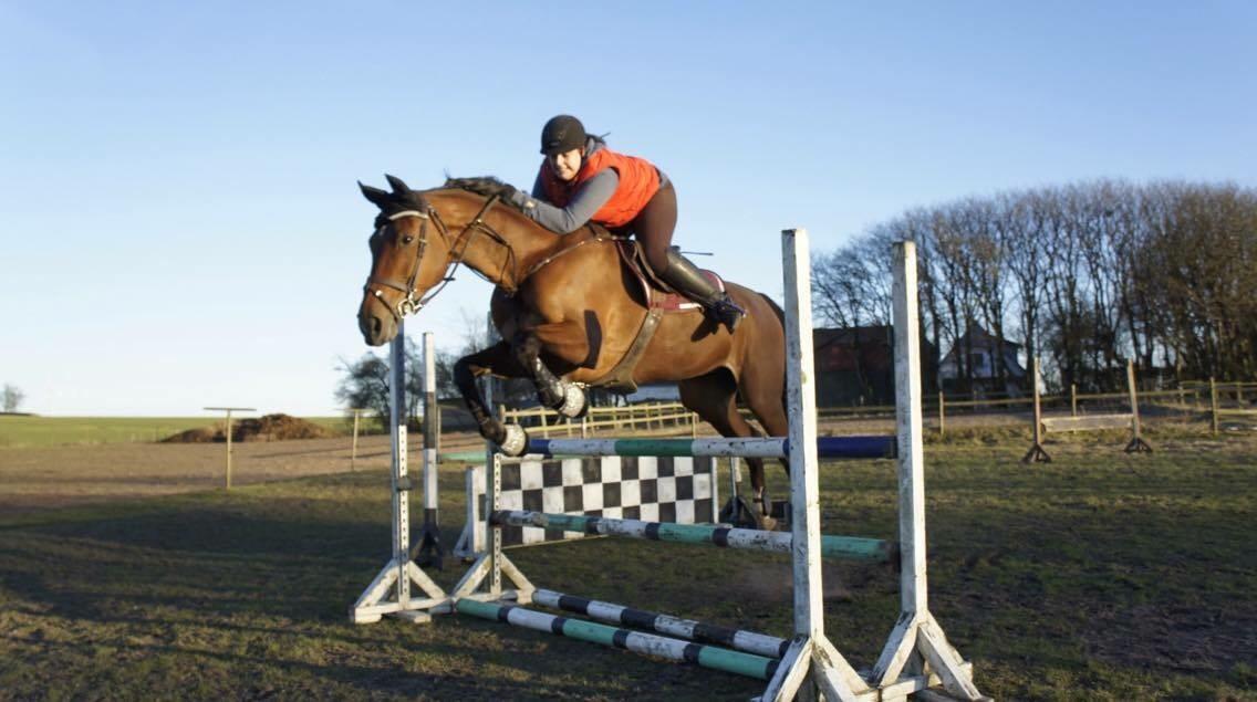 Hverdag på stald vestervang. billede 7