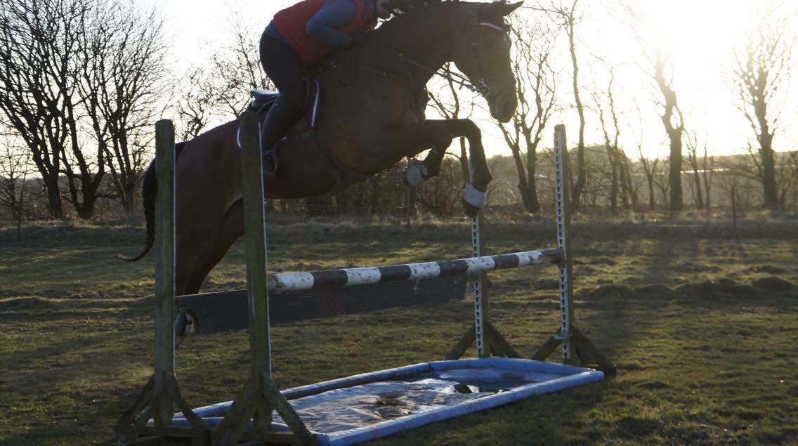 Hverdag på stald vestervang. billede 8
