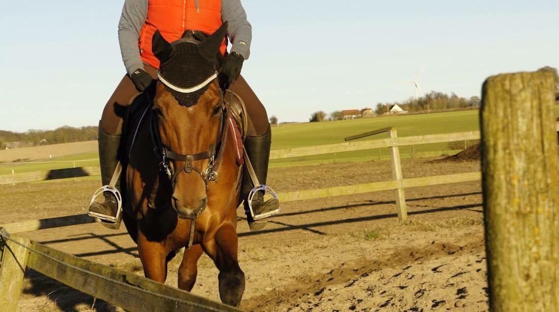 Hverdag på stald vestervang. billede 6
