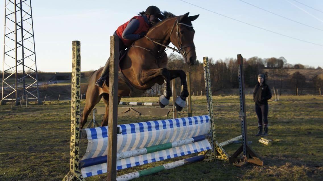 Hverdag på stald vestervang. billede 9