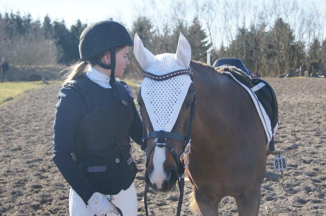 Hverdag på stald vestervang. billede 12