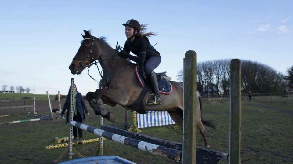 Hverdag på stald vestervang. billede 13