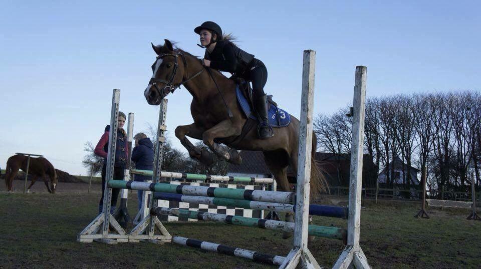 Hverdag på stald vestervang. billede 14