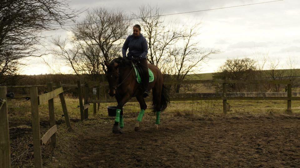 Hverdag på stald vestervang. billede 15