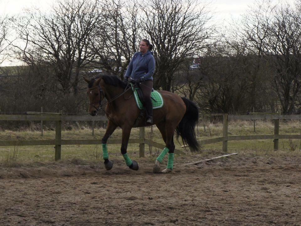 Hverdag på stald vestervang. billede 16