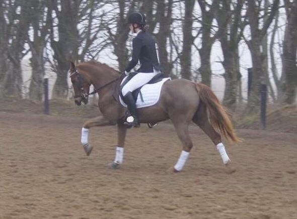 Hverdag på stald vestervang. billede 19