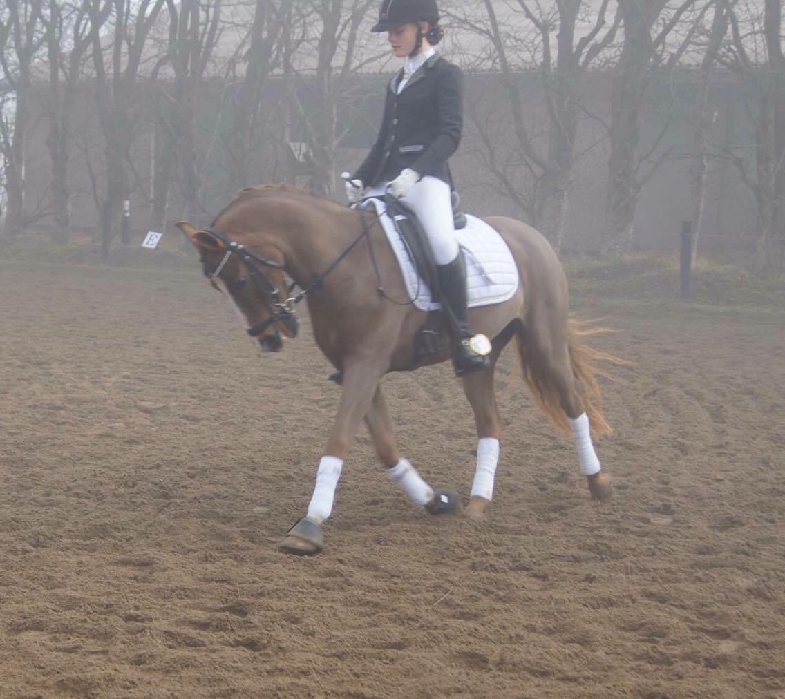 Hverdag på stald vestervang. billede 18