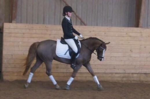 Hverdag på stald vestervang. billede 21