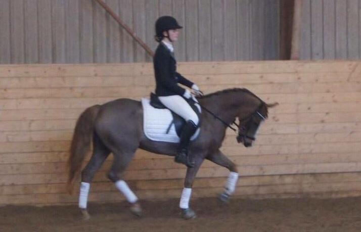 Hverdag på stald vestervang. billede 20