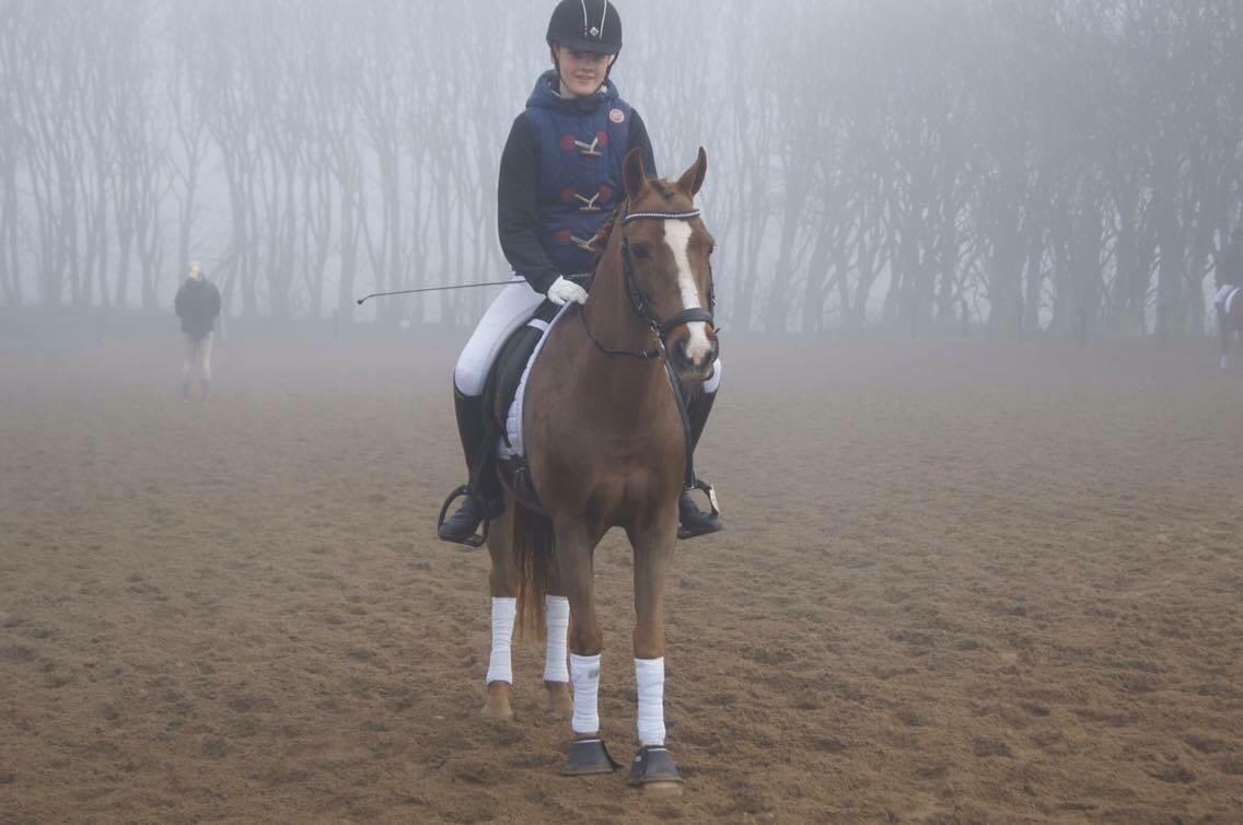 Hverdag på stald vestervang. billede 23