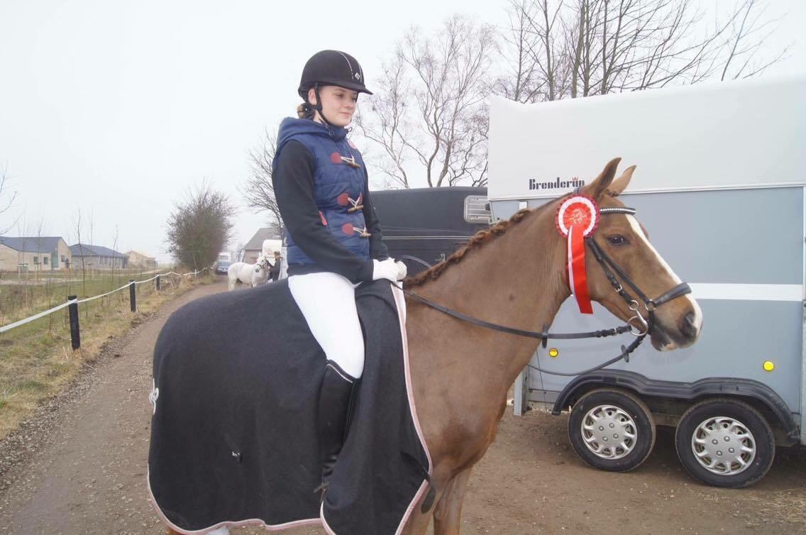 Hverdag på stald vestervang. billede 22