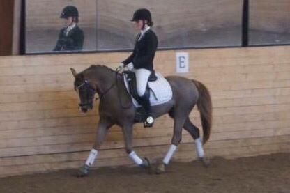 Hverdag på stald vestervang. billede 25