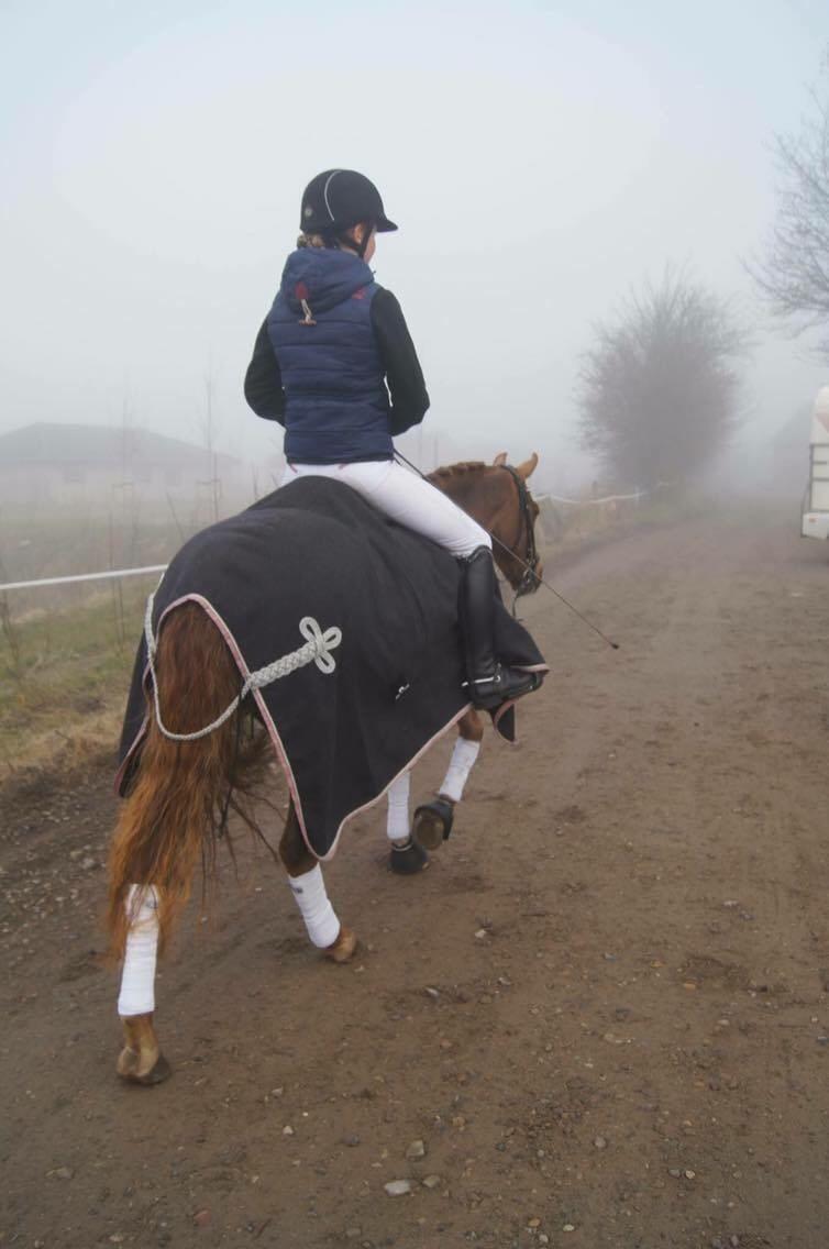 Hverdag på stald vestervang. billede 26
