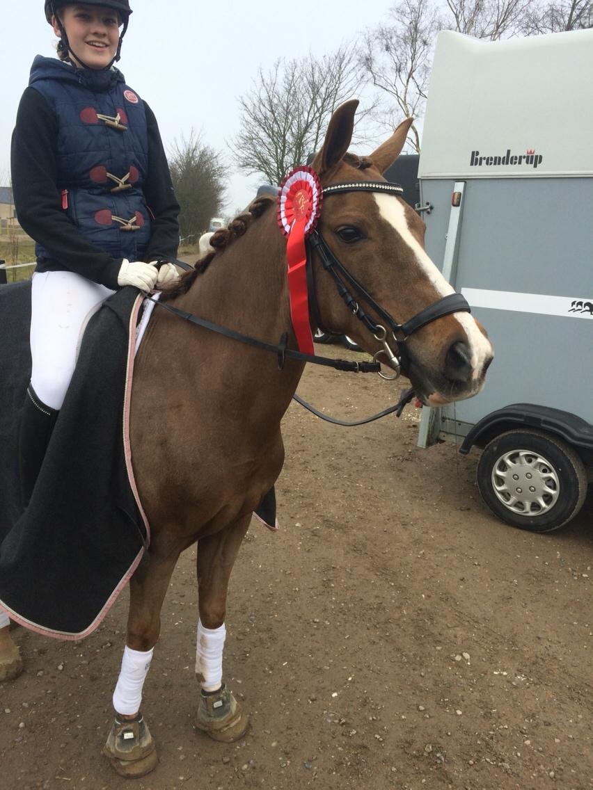 Hverdag på stald vestervang. billede 28