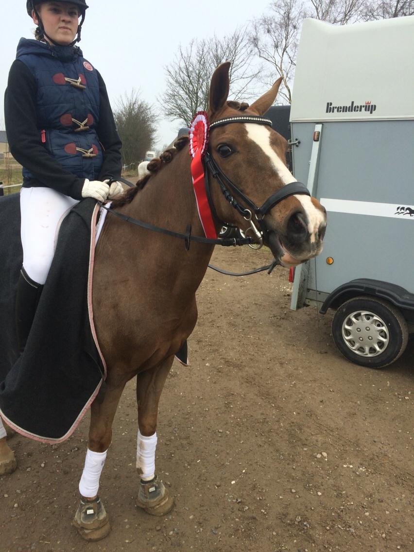 Hverdag på stald vestervang. billede 29