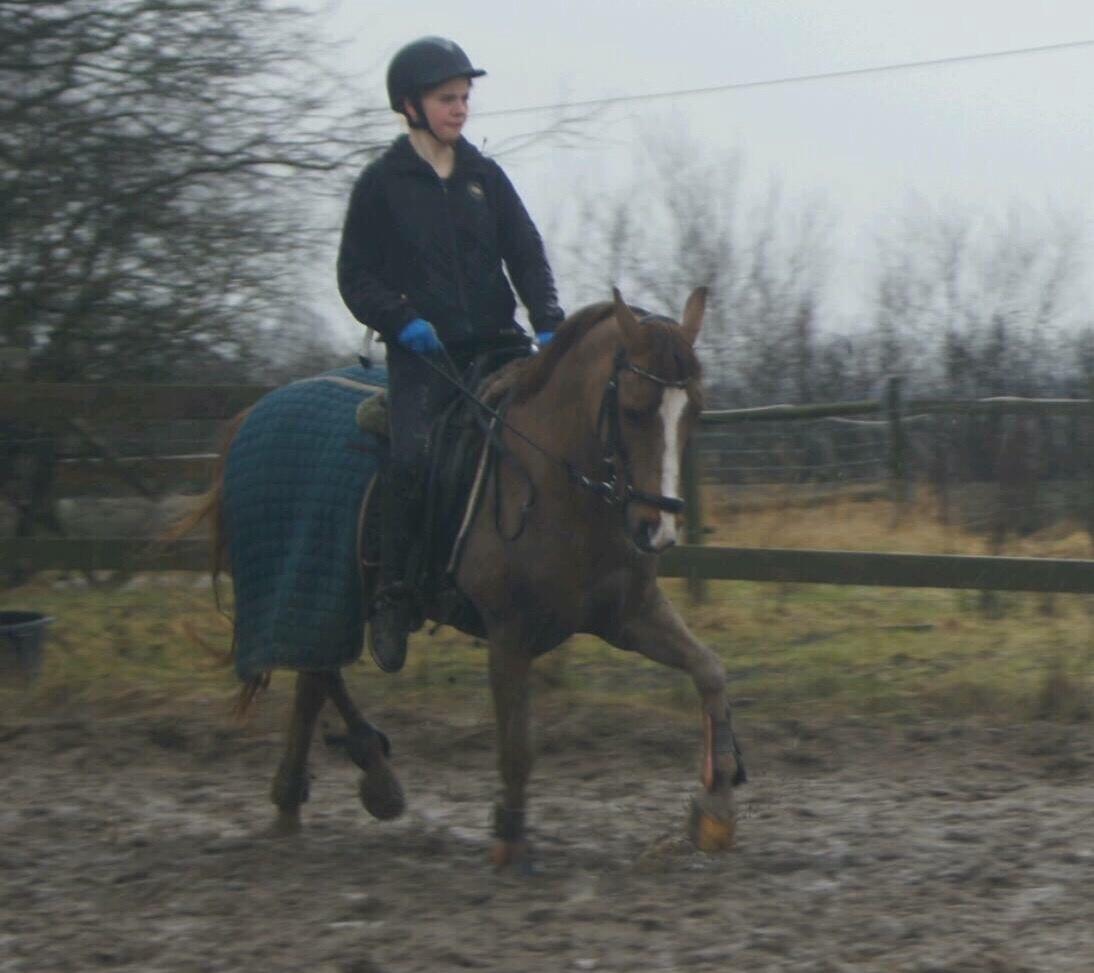 Hverdag på stald vestervang. billede 31