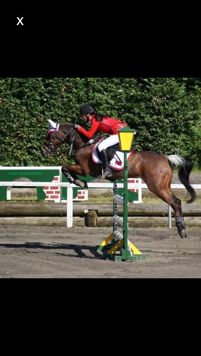 Hverdag på stald vestervang. billede 36