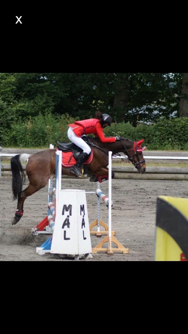 Hverdag på stald vestervang. billede 37