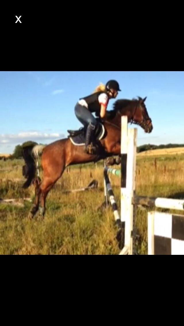 Hverdag på stald vestervang. billede 39