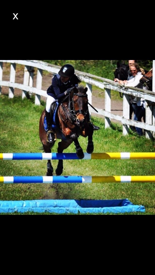 Hverdag på stald vestervang. billede 38