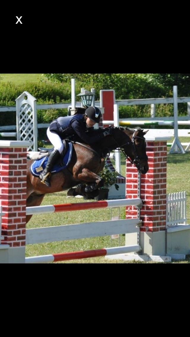 Hverdag på stald vestervang. billede 41