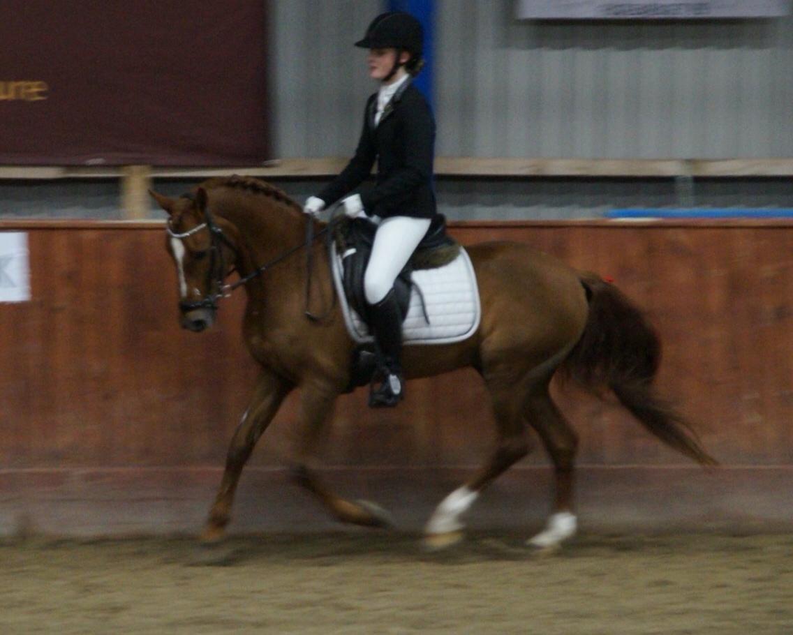 Hverdag på stald vestervang. billede 43