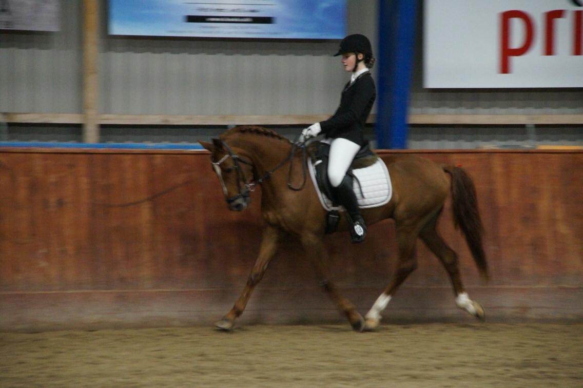 Hverdag på stald vestervang. billede 44