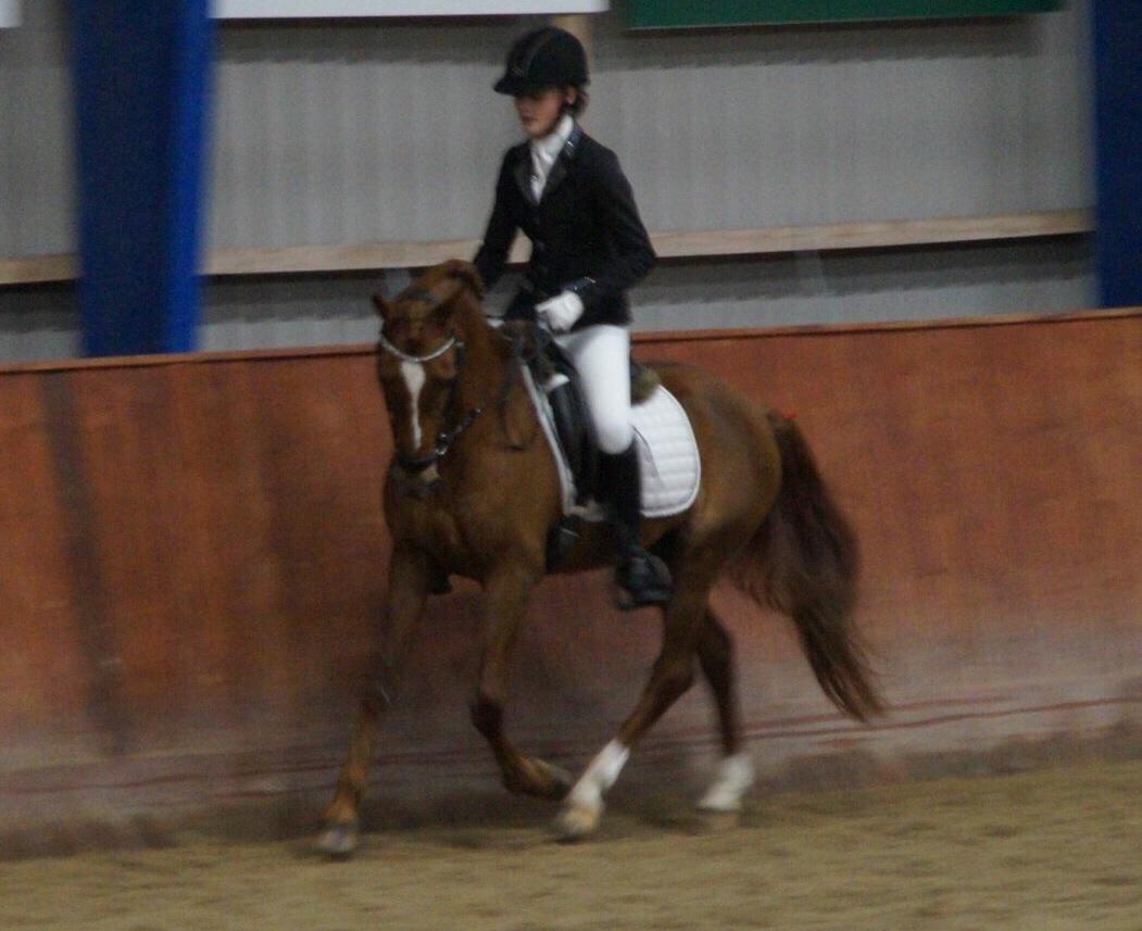 Hverdag på stald vestervang. billede 45