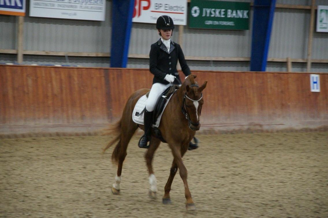 Hverdag på stald vestervang. billede 47