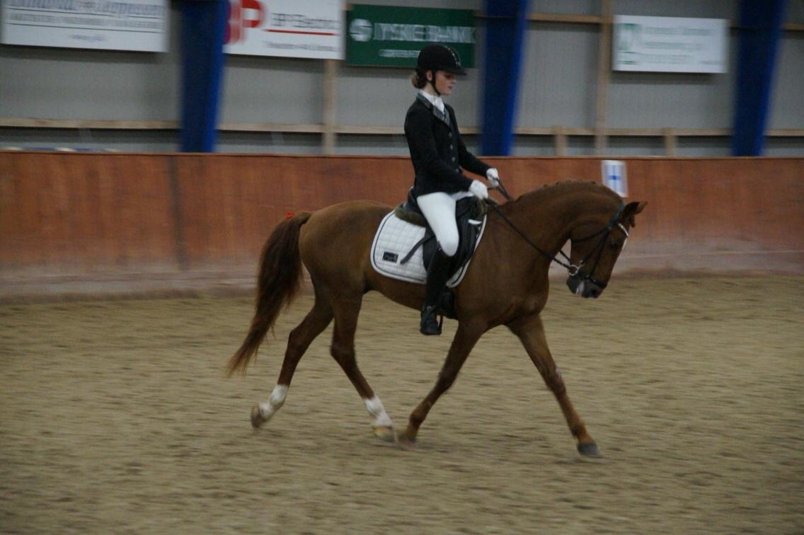 Hverdag på stald vestervang. billede 46