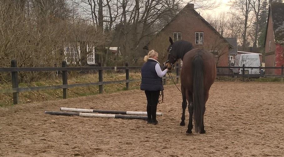 4. april 2016 Træning og Hygge -Longering og grundarbejde fra jorden. billede 7