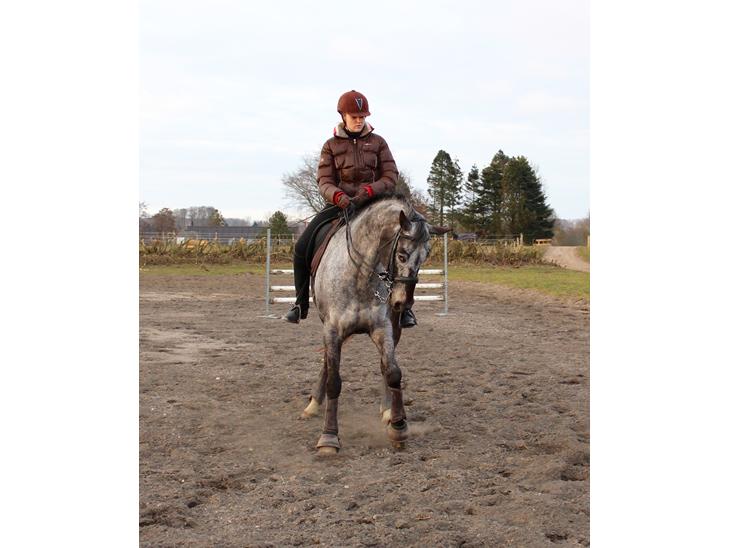 {{currentPhoto.altText}} billede {{currentPhoto.number}}