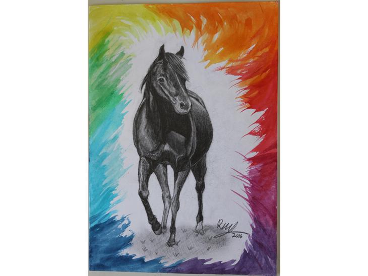 {{currentPhoto.altText}} billede {{currentPhoto.number}}