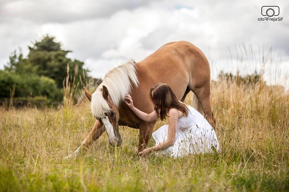 Inspiration til billeder diverse hest fotos fra ~ le coeur ~ Inspiration til billeder