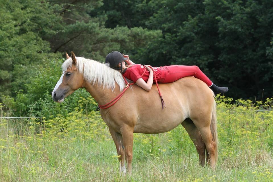 Inspiration til billeder diverse hest fotos fra ~ le coeur ~ Inspiration til billeder