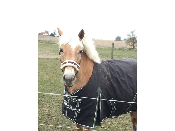 {{currentPhoto.altText}} billede {{currentPhoto.number}}