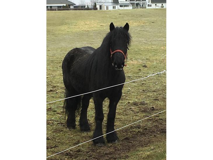 {{currentPhoto.altText}} billede {{currentPhoto.number}}