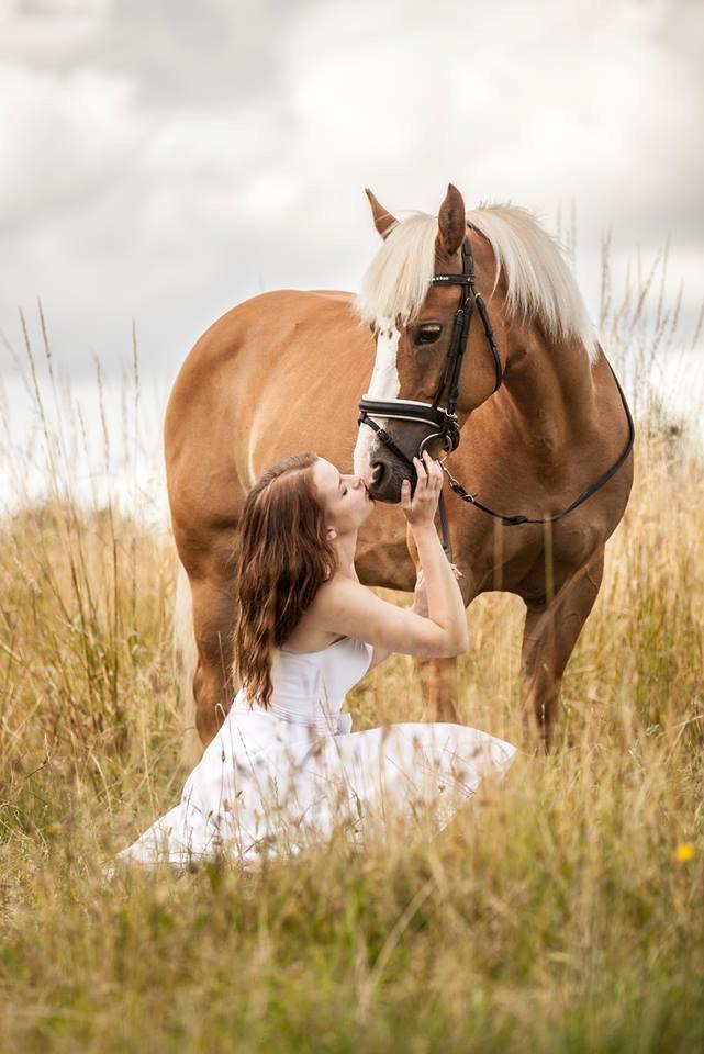 Inspiration til billeder diverse hest uploadet af ~ le coeur ~ Inspiration til billeder