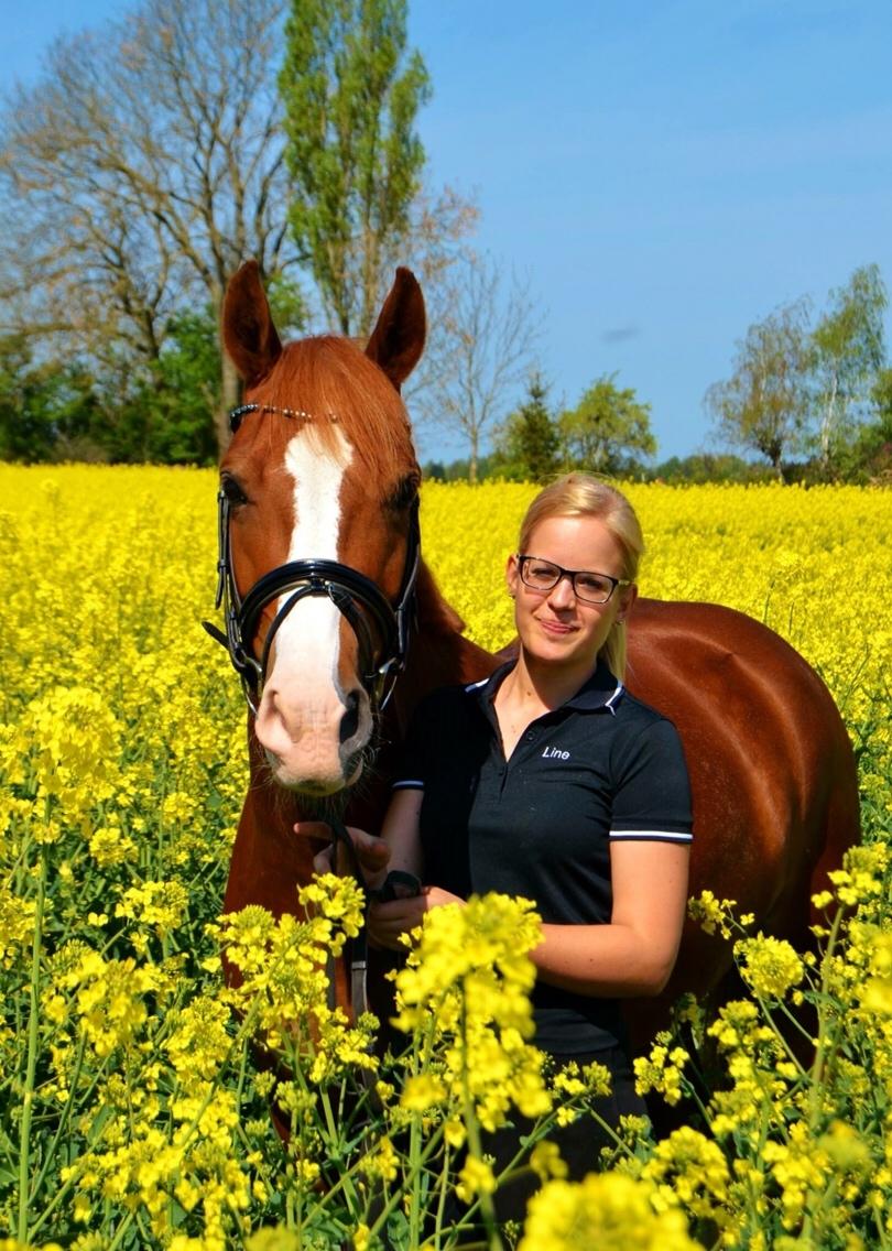 Avador på Ågerupgård Sportsrideklub (AAGS) billede 28