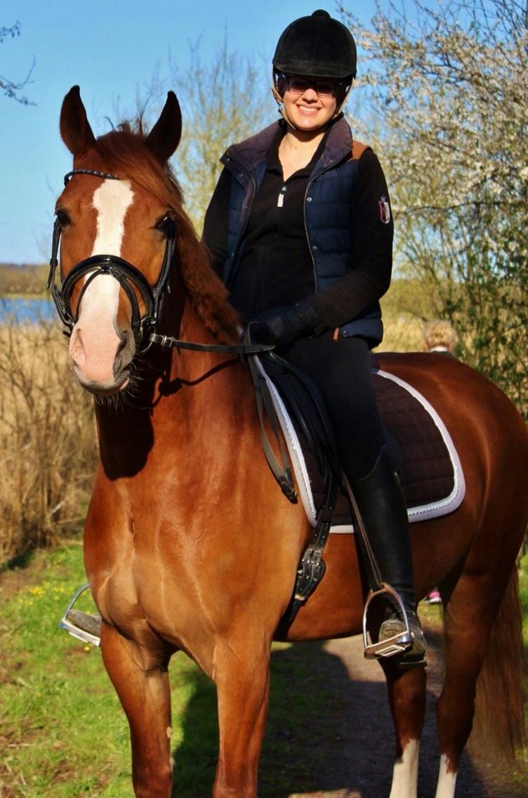 Avador på Ågerupgård Sportsrideklub (AAGS) billede 33