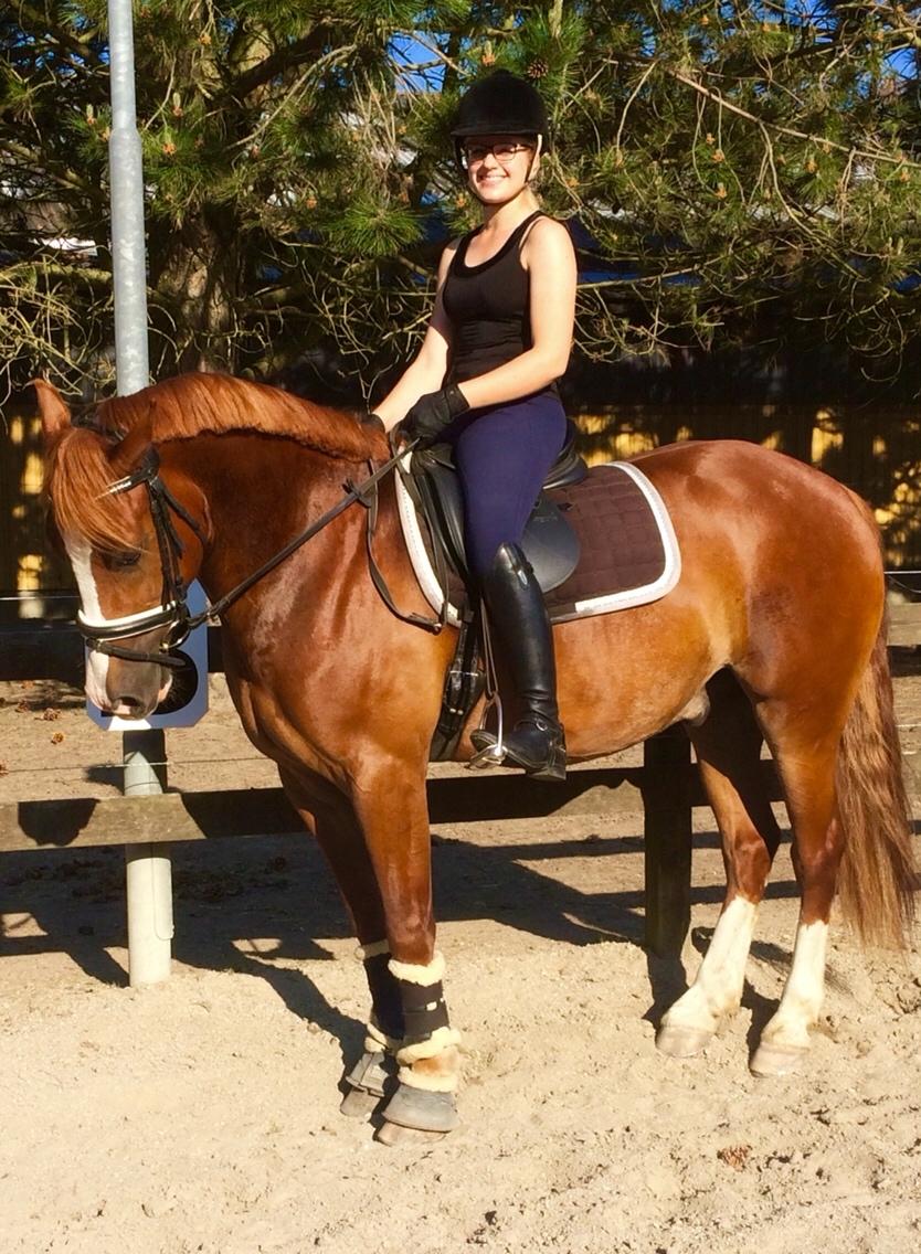 Avador på Ågerupgård Sportsrideklub (AAGS) billede 35