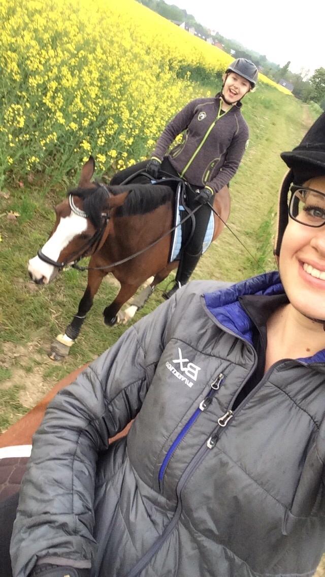 Avador på Ågerupgård Sportsrideklub (AAGS) billede 40