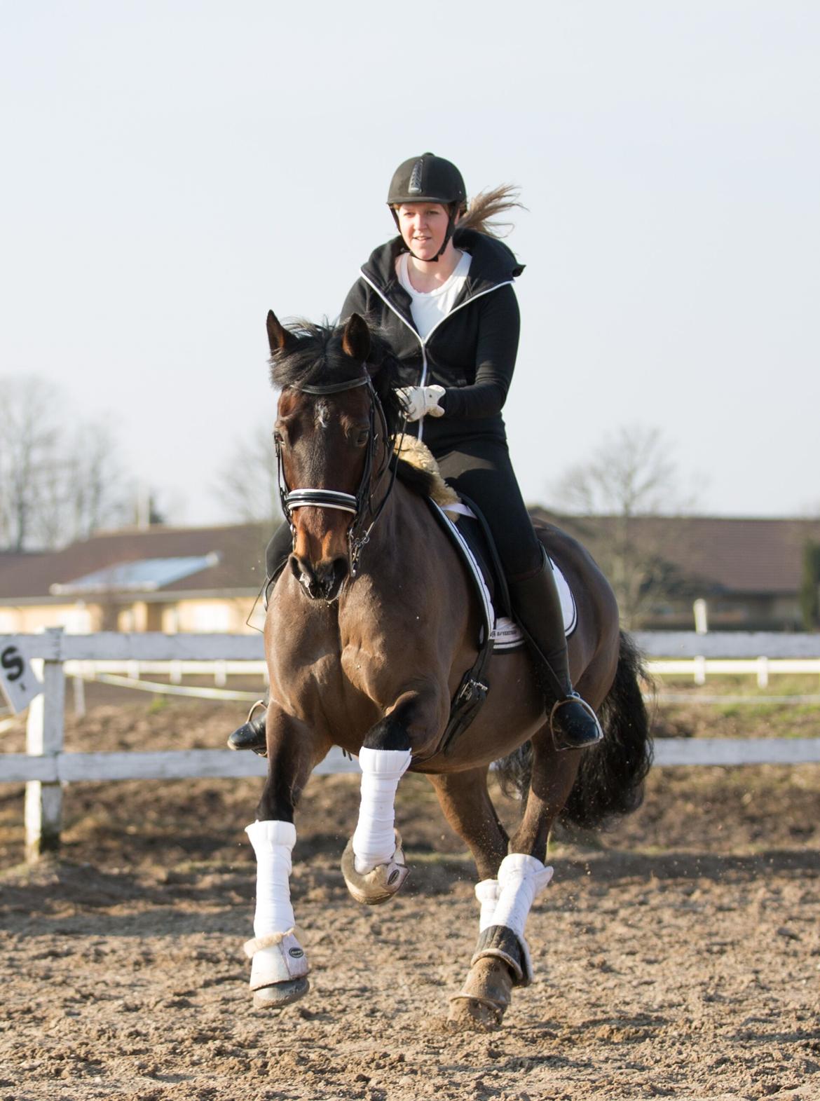 Interview til HesteMagasinet :) billede 6